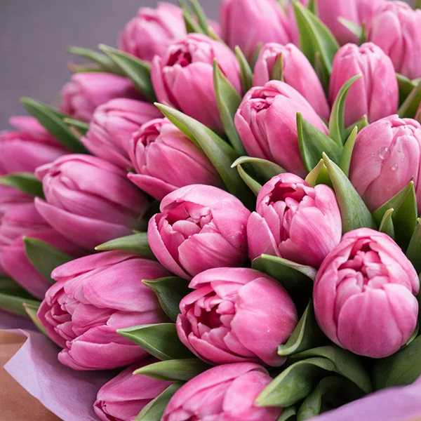 Розовое сафари - шляпная коробка с тюльпанами